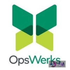 OpsWerks Reviews – Trusted IT Solutions by Industry Experts