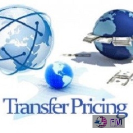 Expert Transfer Pricing Report | PKP Consult