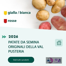Agritura – Patate da Seme Selezionate e Calce per un Orto Forte e Produttivo