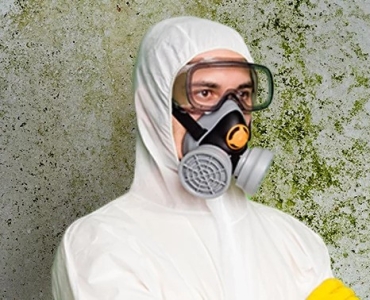 Trusted Mold Removal Experts Serving Staten Island, NY