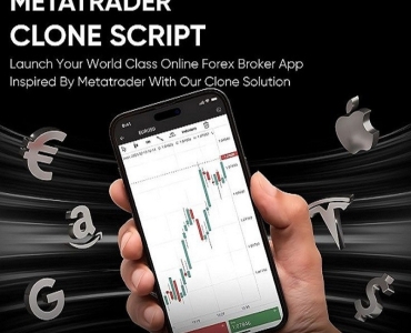 Buy White Label MetaTrader Clone Software – Start Your Forex Platform Today