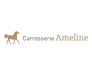 Compra tu Furgoneta Caballos 3.5 Toneladas con CARROSSERIE AMELINE