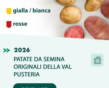 Agritura – Patate da Seme Selezionate e Calce per un Orto Forte e Produttivo