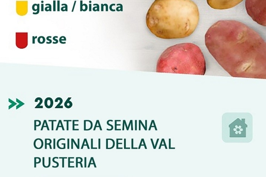 potatoes back link_1