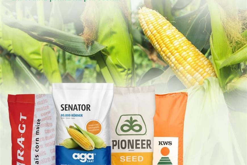 MAIS DA SEMINA 2026 1