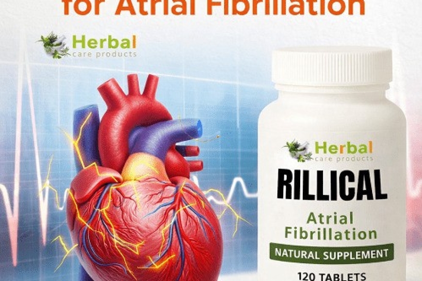 WhatsApp Image 2026-04-13 at 11.13.01